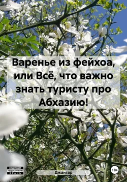 Варенье из фейхоа  или Всё  что важно знать туристу про Абхазию! Джангар