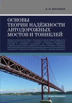 Основы теории надёжности автодорожных мостов и тоннелей, Александр Васильев