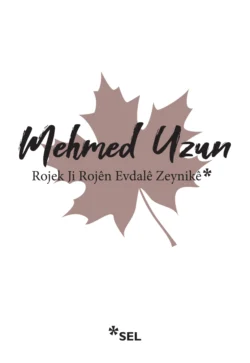 Rojek Ji Rojên Evdalê Zeynikê, Mehmed Uzun