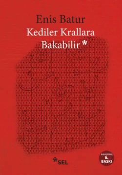 Kediler Krallara Bakabilir, Enis Batur