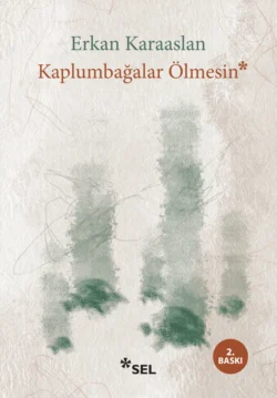 Kaplumbağalar Ölmesin, Erkan Karaaslan