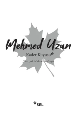 Kader Kuyusu Mehmed Uzun