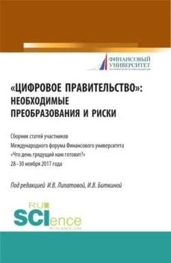 Цифровое правительство. Необходимые преобразования и риски. (Бакалавриат, Магистратура). Сборник статей., Инна Липатова