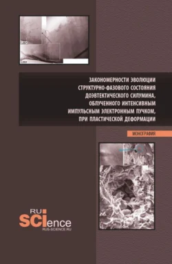 Закономерности эволюции структурно-фазового состояния доэвтектического силумина, облученного интенсивным импульсным электронным пучком, при пластической деформации. (Аспирантура, Бакалавриат, Магистратура). Монография., Юлия Шлярова