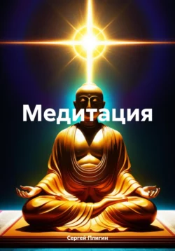 Медитация, Сергей Плигин