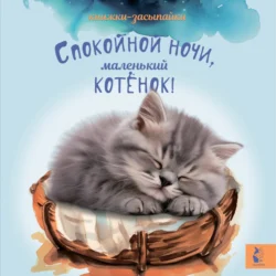 Спокойной ночи  маленький котенок! 