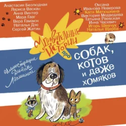 Удивительные истории про собак, котов и даже хомяков, Наталья Щерба