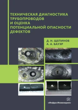 Техническая диагностика трубопроводов и оценка потенциальной опасности дефектов Дмитрий Щепинов и Андрей Бауэр