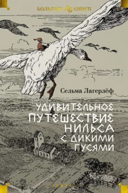 Удивительное путешествие Нильса с дикими гусями Сельма Лагерлёф