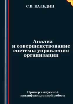 Анализ и совершенствование системы управления организации Сергей Каледин