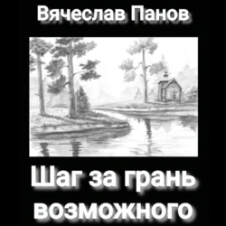 Шаг за грань возможного, Вячеслав Панов