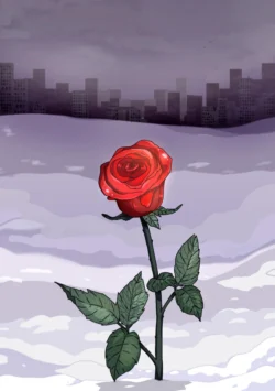 Winter rose, Vurado-Kun