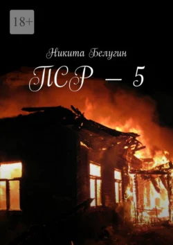 ПСР – 5, Никита Белугин