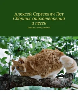 Сборник стихотворений и песен. Никогда не сдавайся!, Алексей Лот