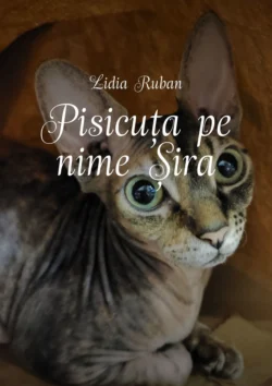 Pisicuța pe nume Șira, Lidia Ruban