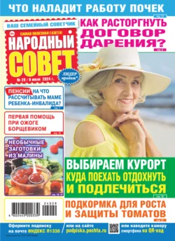 Народный совет 29 2024 