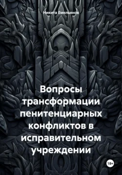 Вопросы трансформации пенитенциарных конфликтов в исправительном учреждении, Никита Емельянов