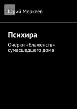 Психира. Очерки «блаженств» сумасшедшего дома, Юрий Меркеев