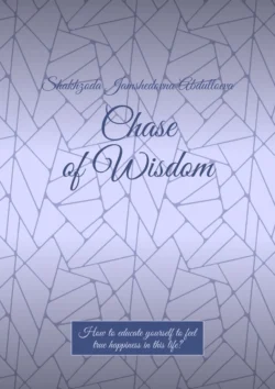 Chase of Wisdom. How to educate yourself to feel true happiness in this life?, Shakhzoda Abdulloeva