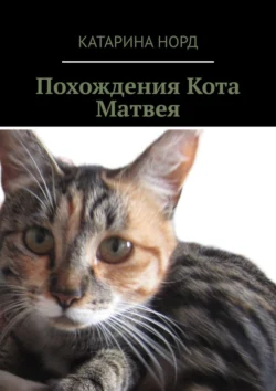 Похождения Кота Матвея Катарина Норд