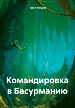 Командировка в Басурманию Павел Алтухов