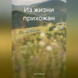 Из жизни прихожан, Нил Плёсов