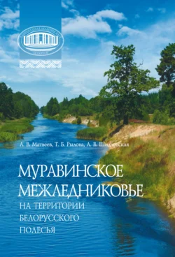 Муравинское межледниковье на территории Белорусского Полесья, Алексей Матвеев