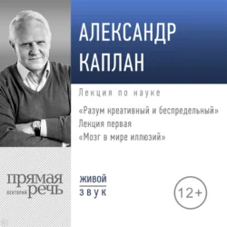 Лекция «Мозг в мире иллюзий», Александр Каплан