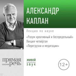 Лекция «Перегрузки и медитации» Александр Каплан