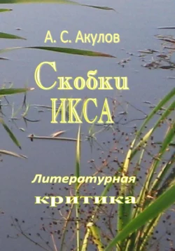 Скобки икса. Литературная критика Александр Акулов