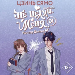 Не целуй меня, Мистер Дьявол. Книга 1, Цзинь Сямо