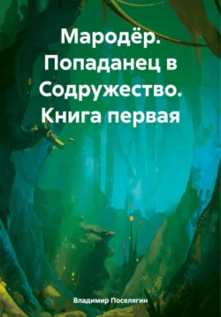 Мародёр. Попаданец в Содружество. Книга первая, Владимир Поселягин