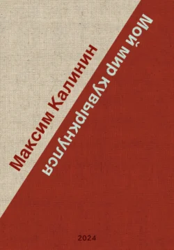 Мой мир кувыркнулся, Максим Калинин