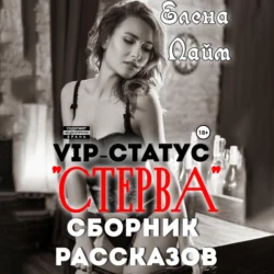 VIP-статус «Стерва». Сборник рассказов Виталий Кириллов и Елена Лайм