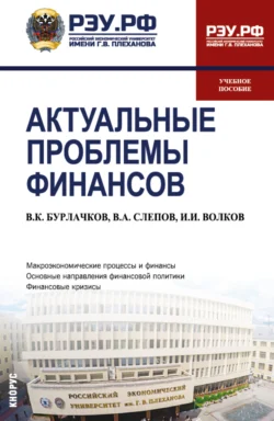 Актуальные проблемы финансов. (Магистратура). Учебное пособие., Владимир Слепов