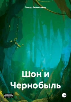 Шон и Чернобыль, Тимур Зейникенов