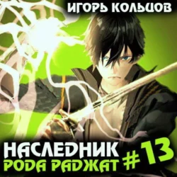 Наследник рода Раджат – 13, Игорь Кольцов