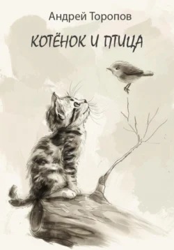 Котёнок и Птица, Андрей Торопов