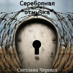 Серебряная отмычка, Светлана Черных