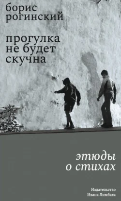 Прогулка не будет скучна. Этюды о стихах, Борис Рогинский