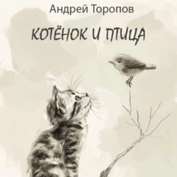 Котёнок и Птица, Андрей Торопов