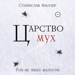 Царство мух, Станислав Миллер