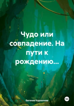 Чудо или совпадение. На пути к рождению…, Евгения Корнилова