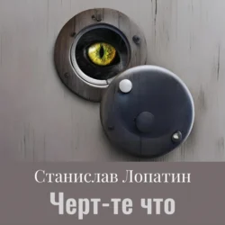 Черт те что, Станислав Лопатин