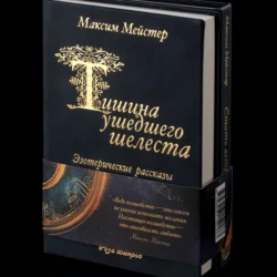 Тишина ушедшего шелеста, Максим Мейстер