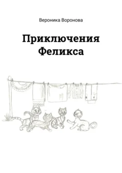 Приключения Феликса Вероника Воронова