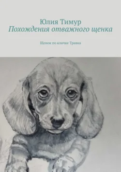 Похождения отважного щенка. Щенок по кличке Травка, Юлия Тимур