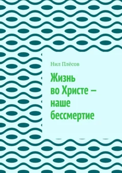 Жизнь во Христе – наше бессмертие, Нил Плёсов