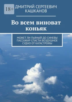 Во всем виноват коньяк. Может ли пьяный до синевы пассажир спасти воздушное судно от катастрофы, Дмитрий Кашканов