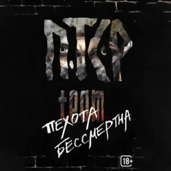 Пехота бессмертна, ПТСР team